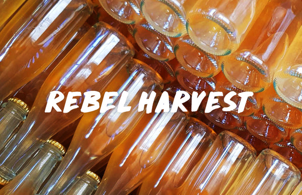 Caged Rebels